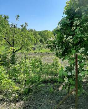 Дом 93м&sup2;, 2-этажный, участок 6 сот.  