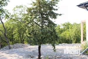 Дом 116м&sup2;, 1-этажный, участок 8 сот.  