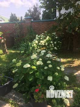 Дом 172м&sup2;, 1-этажный, участок 6 сот.  