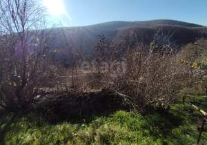 Дом 42м&sup2;, 1-этажный, участок 10 сот.  