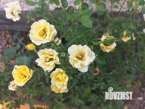 Дом 105м&sup2;, 2-этажный, участок 4 сот.  