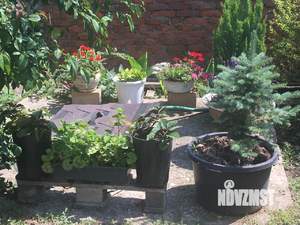 Дом 172м&sup2;, 1-этажный, участок 6 сот.  