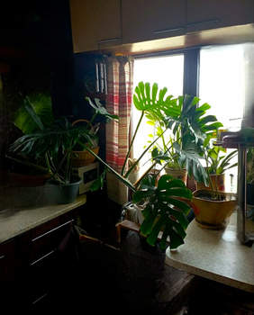 Дом 59м&sup2;, 2-этажный, участок 8 сот.  