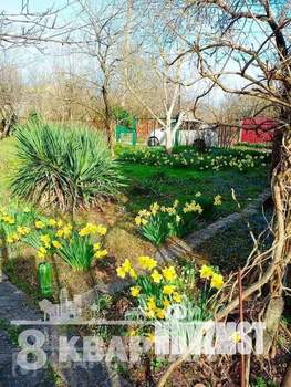 Дом 89м², 2-этажный, участок 11 сот.  