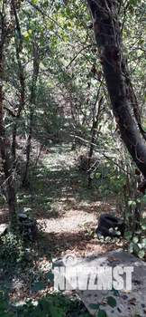 Дом 58м², 2-этажный, участок 6 сот.  