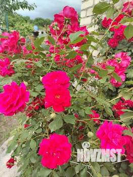 Дом 30м&sup2;, 1-этажный, участок 6 сот.  