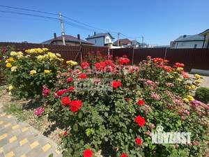 Дом 175м², 2-этажный, участок 11 сот.  