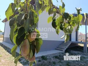 Дом 113м², 1-этажный, участок 4 сот.  