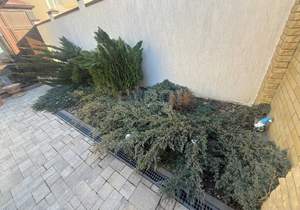 Дом 113м&sup2;, 2-этажный, участок 3 сот.  