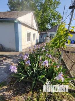 Дом 45м&sup2;, 1-этажный, участок 3 сот.  