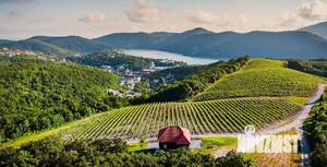 Коттедж 310м&sup2;, 2-этажный, участок 6 сот.  