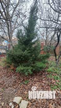 Дом 145м&sup2;, 2-этажный, участок 10 сот.  