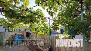 Дом 56м², 2-этажный, участок 4 сот.  