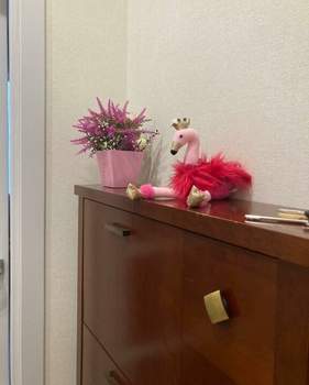 Дом 43м², 9-этажный, участок 1 сот.  