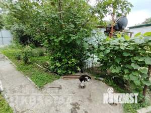Дом 35м², 2-этажный, участок 6 сот.  