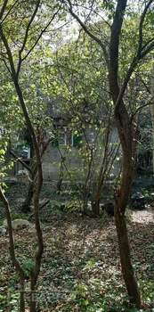 Дом 58м², 2-этажный, участок 6 сот.  