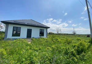 Дом 74м&sup2;, 1-этажный, участок 4 сот.  