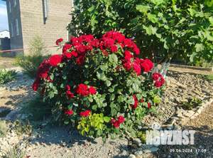 Дом 122м&sup2;, 2-этажный, участок 6 сот.  