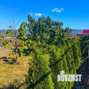 Дом 136м&sup2;, 1-этажный, участок 9 сот.  