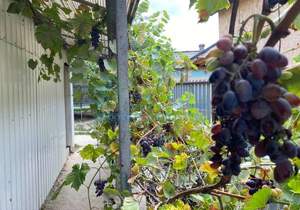 Дом 103м&sup2;, 1-этажный, участок 0 сот.  