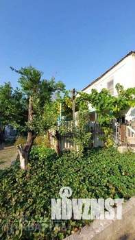 Дом 56м&sup2;, 2-этажный, участок 4 сот.  