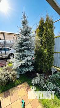 Дом 100м&sup2;, 1-этажный, участок 5 сот.  