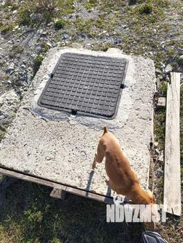 Дом 156м&sup2;, 2-этажный, участок 5 сот.  