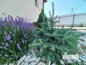 Дом 129м&sup2;, 2-этажный, участок 5 сот.  