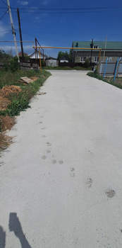 Дом 130м², 1-этажный, участок 5 сот.  