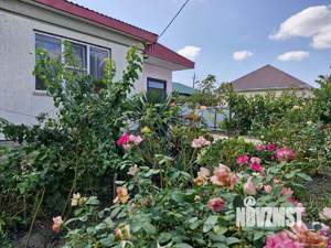 Дом 161м&sup2;, 1-этажный, участок 6 сот.  