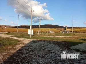 Дом 46м&sup2;, 1-этажный, участок 8 сот.  