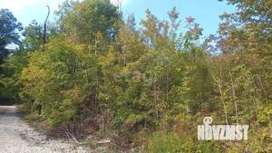 Дом 119м², 1-этажный, участок 4 сот.  