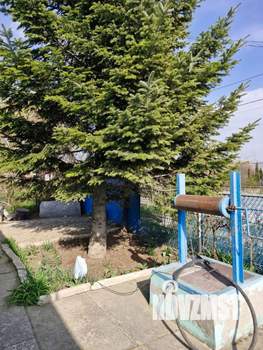 Дом 56м², 1-этажный, участок 19 сот.  