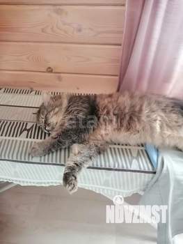 Дом 65м², 2-этажный, участок 8 сот.  