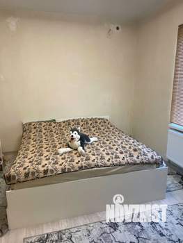 Дом 70м&sup2;, 1-этажный, участок 3 сот.  