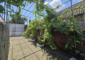 Дом 96м&sup2;, 1-этажный, участок 4 сот.  