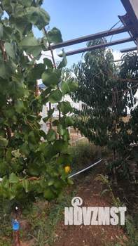 Дом 143м&sup2;, 2-этажный, участок 6 сот.  