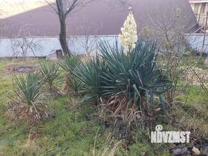 Дом 120м&sup2;, 2-этажный, участок 5 сот.  