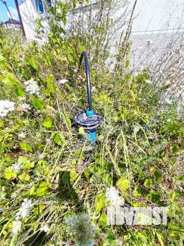 Дом 85м&sup2;, 1-этажный, участок 4 сот.  