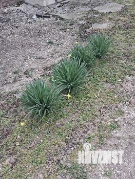 Дом 105м&sup2;, 1-этажный, участок 13 сот.  