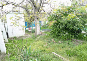 Дом 37м&sup2;, 1-этажный, участок 3 сот.  