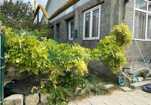 Дом 103м&sup2;, 1-этажный, участок 0 сот.  