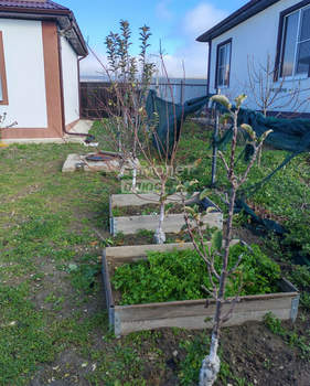 Дом 100м&sup2;, 1-этажный, участок 5 сот.  