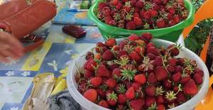 Дом 54м², 2-этажный, участок 10 сот.  