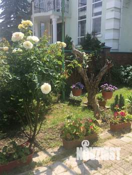 Дом 172м&sup2;, 1-этажный, участок 6 сот.  