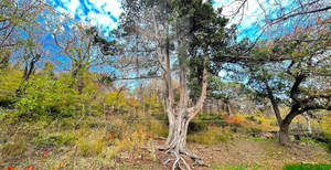 Дом 100м&sup2;, 2-этажный, участок 60 сот.  