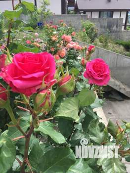 Коттедж 800м&sup2;, 4-этажный, участок 10 сот.  