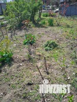 Дом 65м&sup2;, 1-этажный, участок 6 сот.  