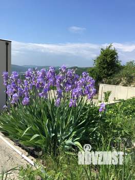 Коттедж 800м&sup2;, 4-этажный, участок 10 сот.  