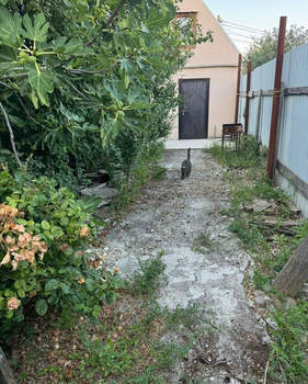 Дом 32м&sup2;, 2-этажный, участок 1 сот.  